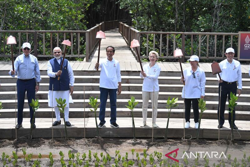 Pemimpin negara G20 menanam mangrove secara bersama-sama di Tahura Ngurah Rai