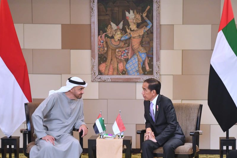 Presiden Jokowi bertemu dengan Presiden MBZ di Bali