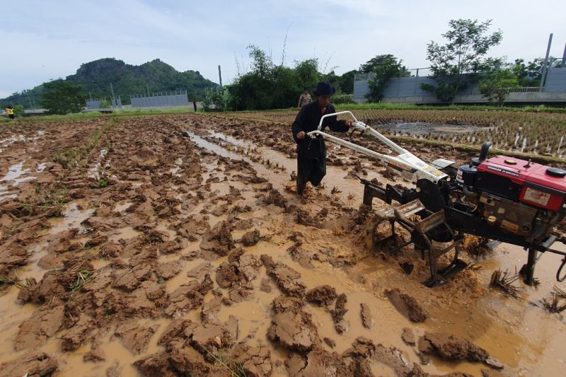Anggota DPR bagikan traktor melalui lomba "ngawuluku"