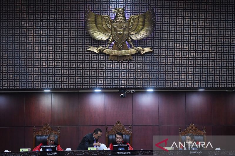 Ujang Komarudin nilai putusan MK untuk kepentingan penguasa