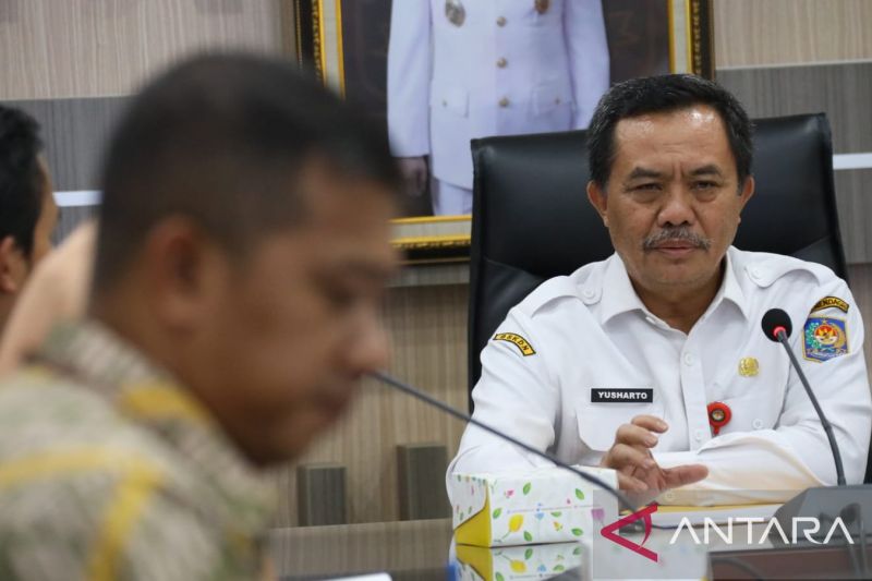 Kepala BSKDN: Pemerintah kabupaten perlu kembangkan potensi lokal