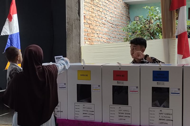 Gakkumdu Bandarlampung hentikan penelusuran kasus TPS 19 Waykandis