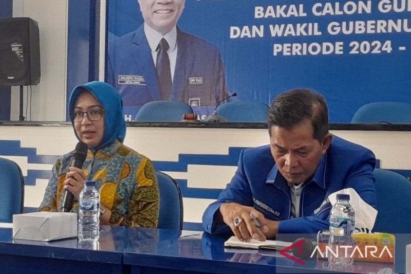 Airin serahkan formulir pendaftaran bakal calon Gubernur ke DPW PAN