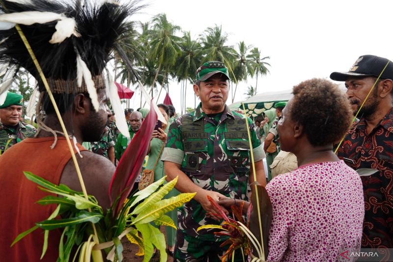 KSAD tinjau persiapan panen raya padi di Merauke