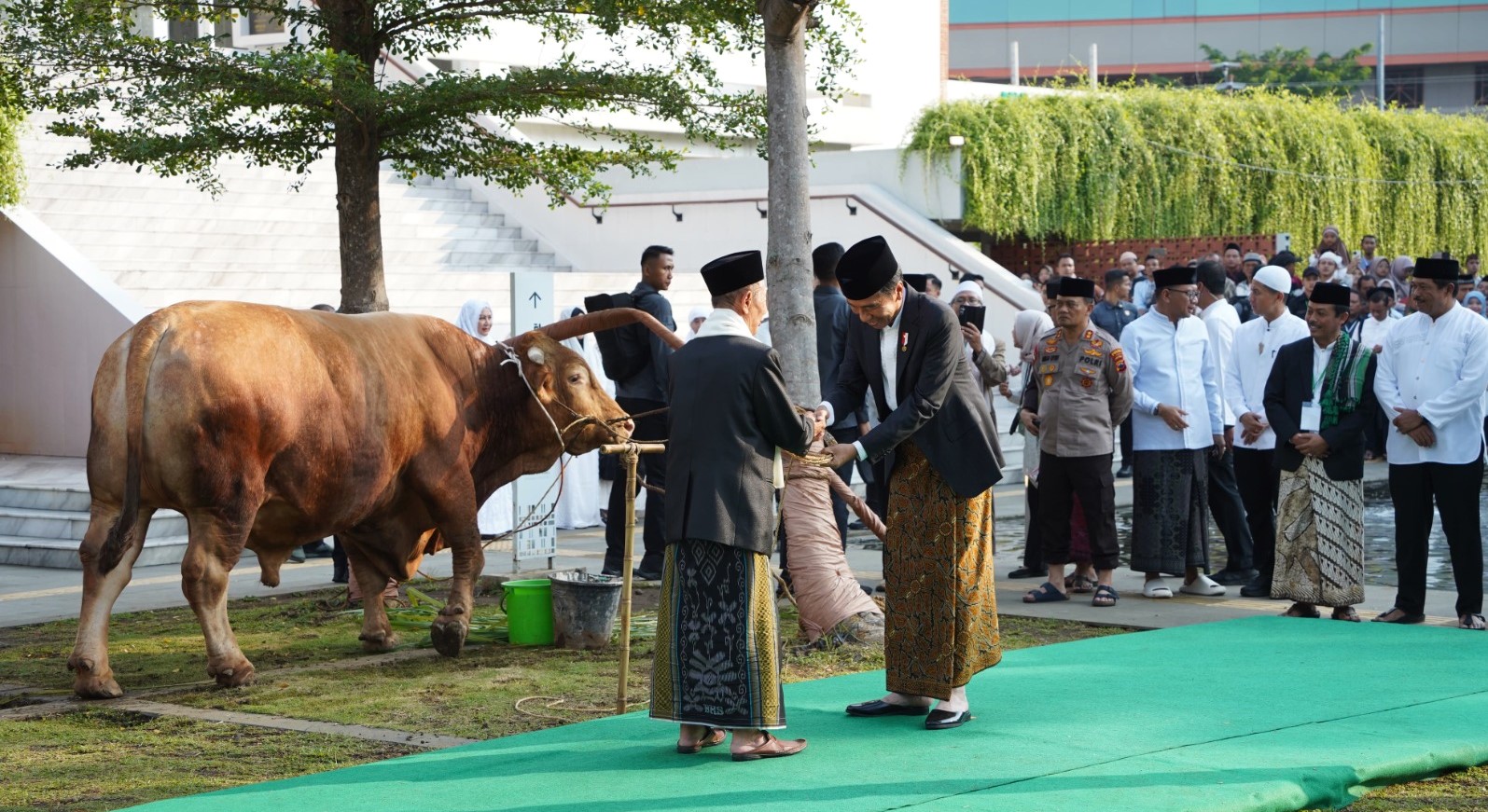 WhatsApp Image 2024-06-17 at 09.34.16