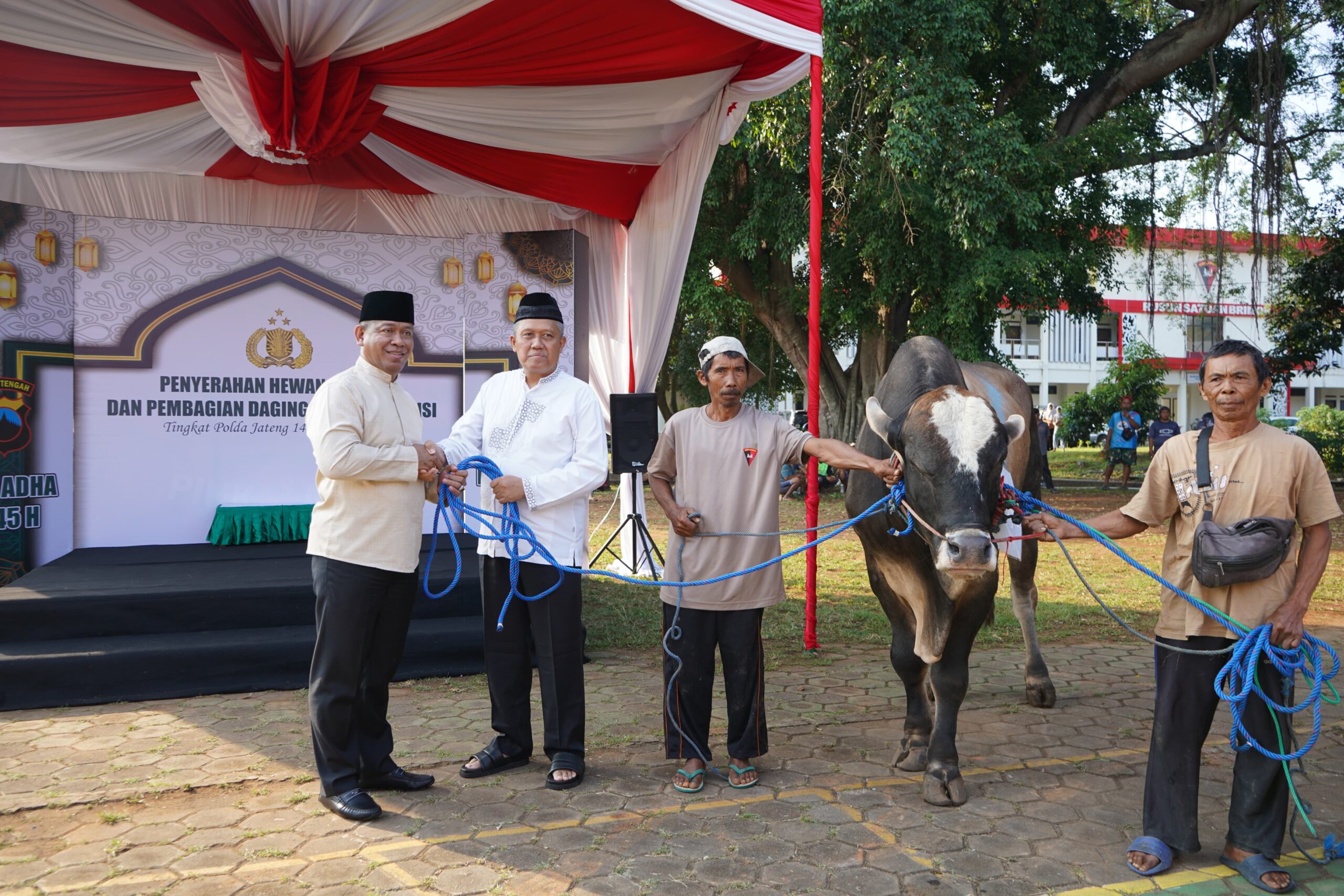 WhatsApp Image 2024-06-17 at 12.30.55